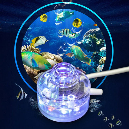 Aquarium lamp | Decor Gifts and More